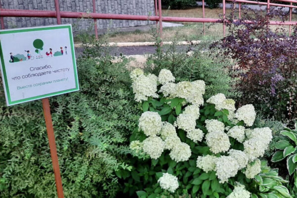 ГУСТ собирает заявки самых креативных жителей, проявивших инициативу в озеленении своих дворов